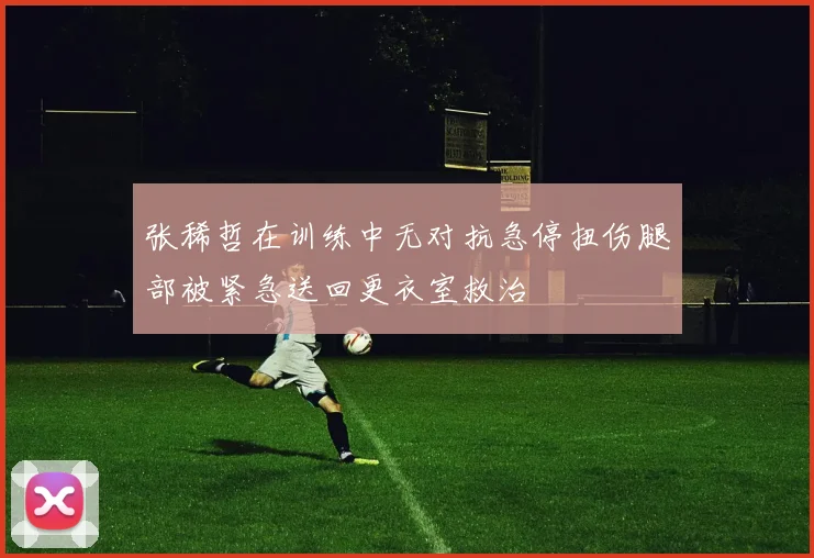 张稀哲在训练中无对抗急停扭伤腿部被紧急送回更衣室救治