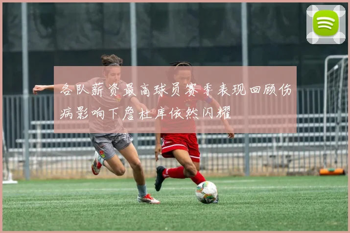 各队薪资最高球员赛季表现回顾伤病影响下詹杜库依然闪耀